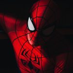 How to Cosplay as Spider-Man on Any Budget!